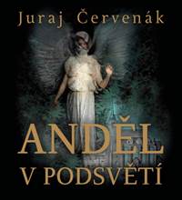 Kniha Anděl v podsvětí