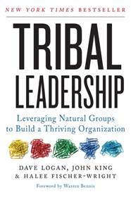 Kniha Tribal Leadership