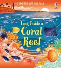 Kniha Look inside a Coral Reef