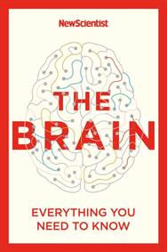 Kniha The Brain