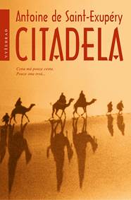 Kniha Citadela