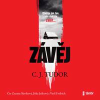 Kniha Závěj - audioknihovna