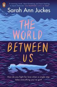 Kniha The World Between Us