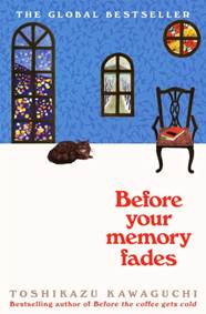 Kniha Before Your Memory Fades