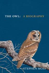 Kniha The Owl
