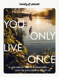 Kniha You Only Live Once 2