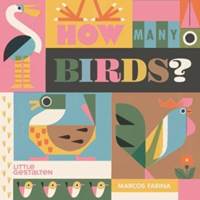 Kniha How Many Birds?