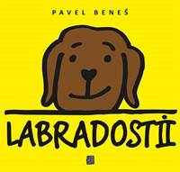 Kniha Labradosti II