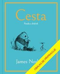 Kniha Cesta