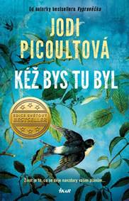 Kniha Kéž bys tu byl