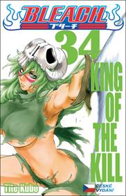 Kniha Bleach 34
