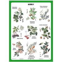 Kniha Kríky (A5) - Tabuľka
