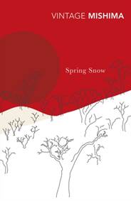 Kniha Spring Snow
