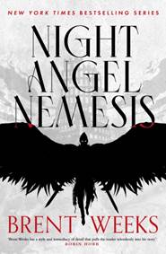 Kniha Night Angel Nemesis