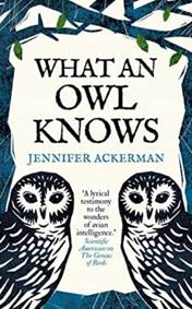 Kniha What an Owl Know