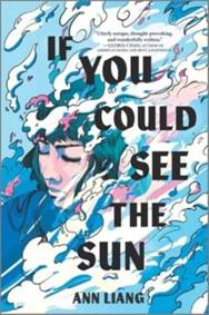 Kniha If You Could See the Sun