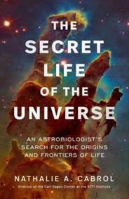 Kniha The Secret Life of the Universe