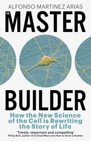 Kniha The Master Builder