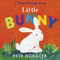 Kniha Little Bunny