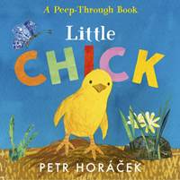Kniha Little Chick