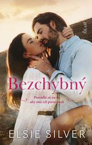 Kniha Bezchybný