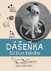 Kniha Dášeňka čili život štěněte
