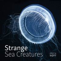 Kniha Strange Sea Creatures