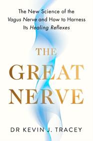 Kniha The Great Nerve