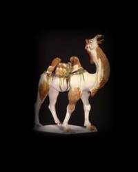Kniha Silk Roads
