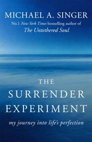 Kniha The Surrender Experiment