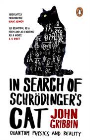 Kniha In Search Of Schrodinger
