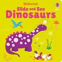 Kniha Slide and See Dinosaurs