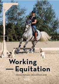 Working Equitation