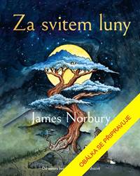 Kniha Za svitem luny