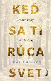 Kniha Keď sa ti rúca svet: Dobré rady na zlé časy