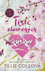 Kniha Tisíc zlomených kúskov