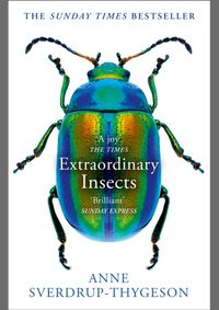 Kniha Extraordinary Insects