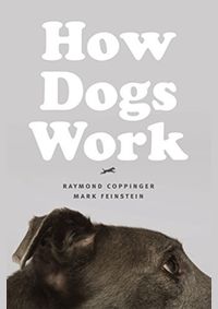 Kniha How Dogs Work