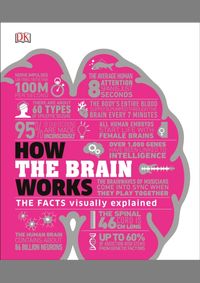 Kniha How the Brain Works