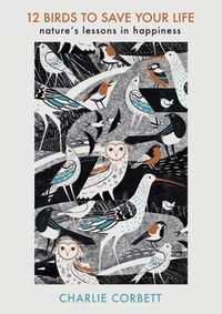 Kniha 12 Birds to Save Your Life