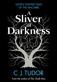 Kniha A Sliver of Darkness