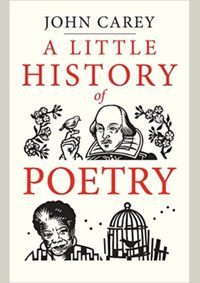 Kniha Little History of Poetry