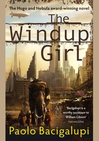 Kniha Windup Girl