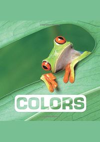 Kniha Colors