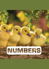 Kniha Numbers