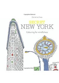 Kniha Secret New York
