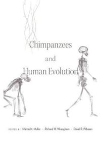 Kniha Chimpanzees and Human Evolution
