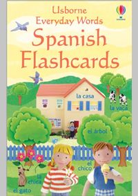 Kniha Everyday words in Spanish Flashcards