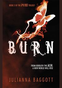 Kniha Burn