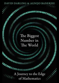 Kniha The Biggest Number in the World